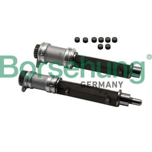 Borsehung Arretierdorn, Ausgleichswelle