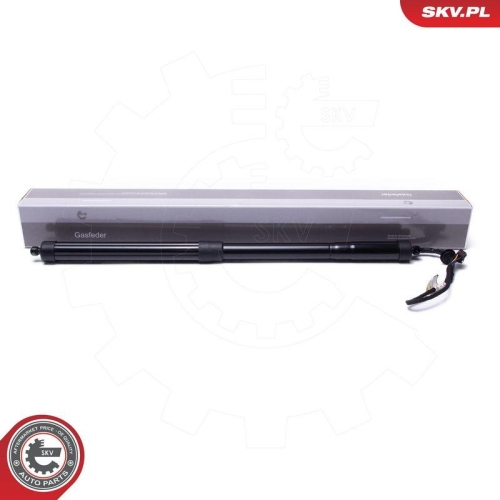 ESEN SKV Elektromotor, Heckklappe 52SKV954