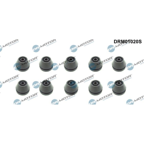 Dr.Motor Automotive Anschlagpuffer, Motorabdeckung DRM01020S