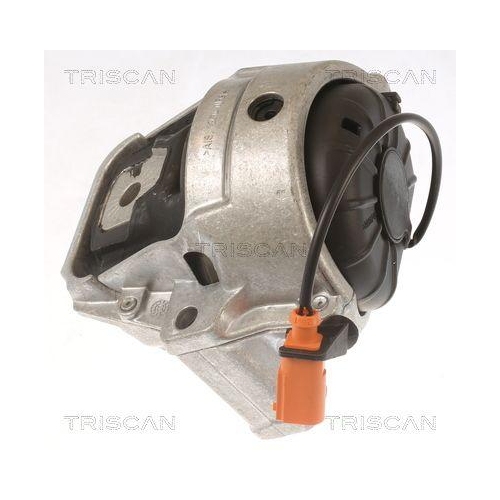 TRISCAN Lagerung, Motor 8505 29178