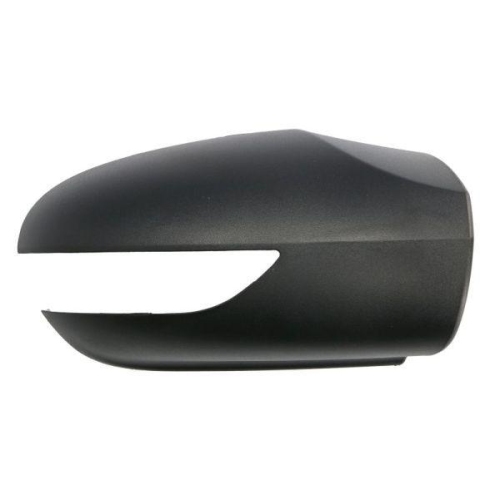 BLIC Gehäuse, Außenspiegel 6103-01-1392557P