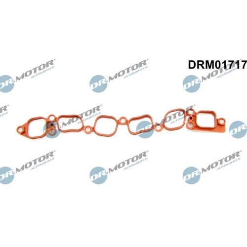 Dr.Motor Automotive Dichtung, Ansaugkr&uuml;mmer DRM01717