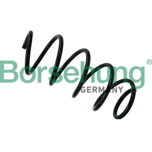 Borsehung Fahrwerksfeder B12620