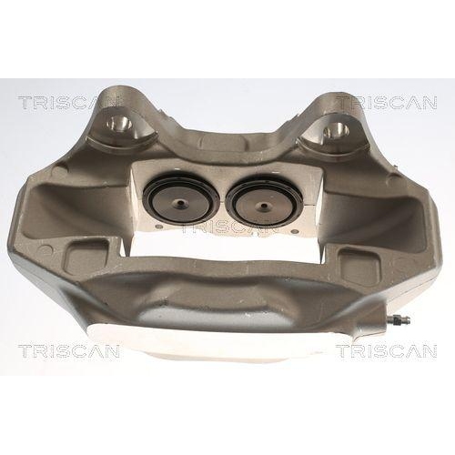 TRISCAN Bremssattel 8175 29174