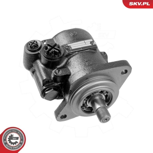 ESEN SKV Hydraulikpumpe, Lenkung