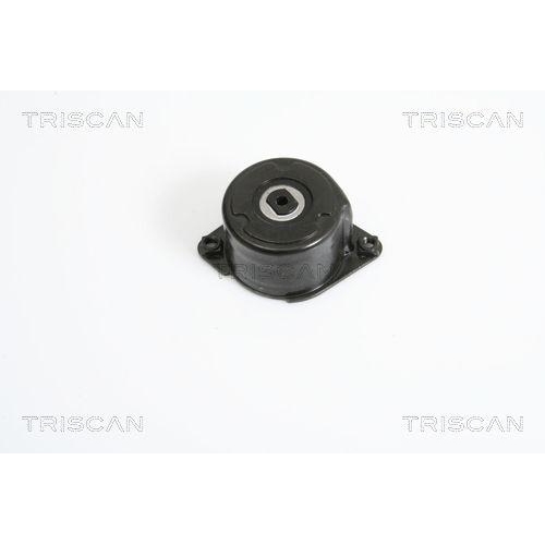TRISCAN Riemenspanner, Keilrippenriemen 8641 113022