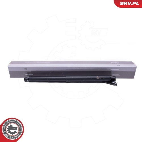 ESEN SKV Elektromotor, Heckklappe 52SKV963