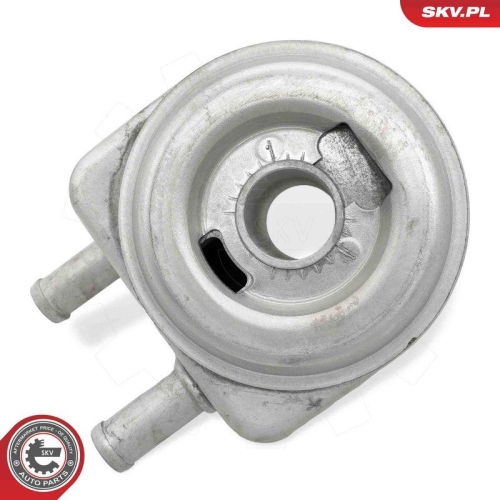 ESEN SKV &Ouml;lk&uuml;hler, Motor&ouml;l 31SKV274