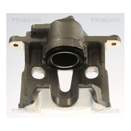 TRISCAN Bremssattel 8175 29175