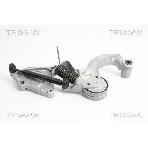 TRISCAN Riemenspanner, Keilrippenriemen 8641 113031