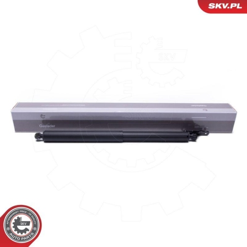 ESEN SKV Elektromotor, Heckklappe 52SKV962