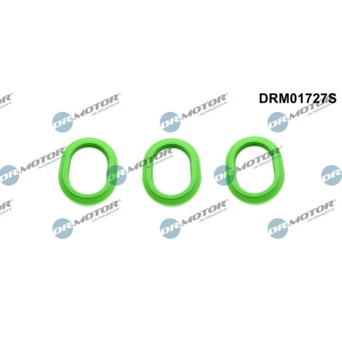 Dr.Motor Automotive Dichtungssatz, Ansaugkr&uuml;mmer DRM01727S