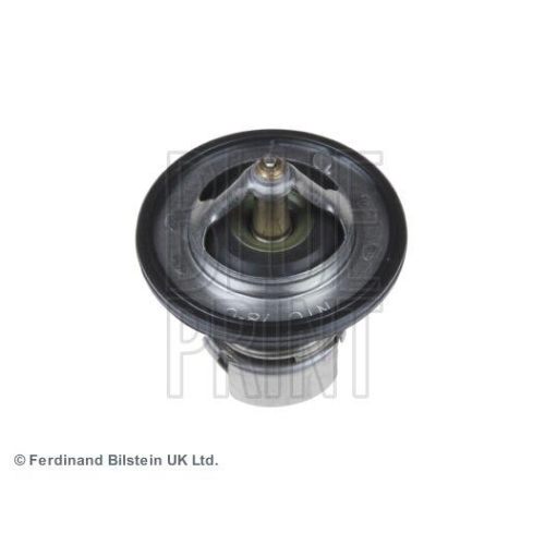 BLUE PRINT Thermostat, K&uuml;hlmittel