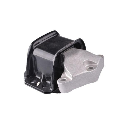 TEDGUM Lagerung, Motor