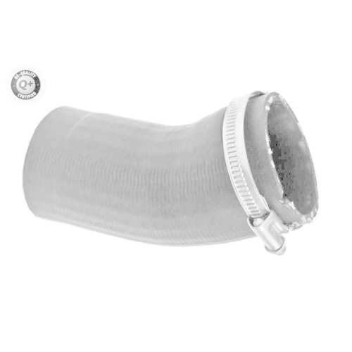 VAICO Ladeluftschlauch Q+, Erstausrüsterqualität V10-5527