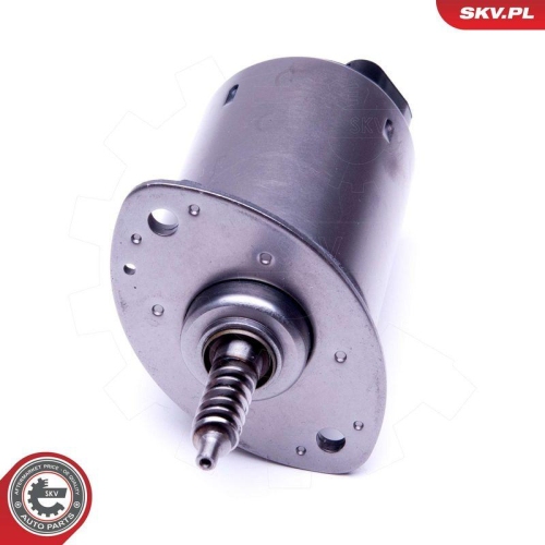 ESEN SKV Stellelement, Exzenterwelle (variabler Ventilhub) 96SKV089