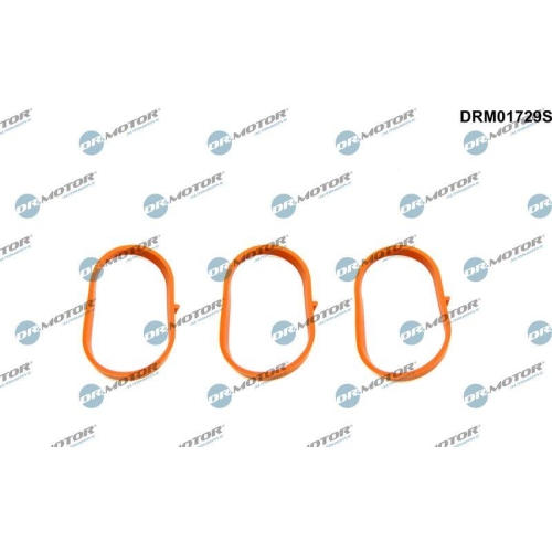 Dr.Motor Automotive Dichtungssatz, Ansaugkr&uuml;mmer DRM01729S
