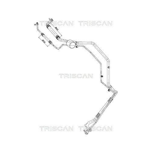 TRISCAN Hochdruck-/Niederdruckleitung, Klimaanlage 9010 28042