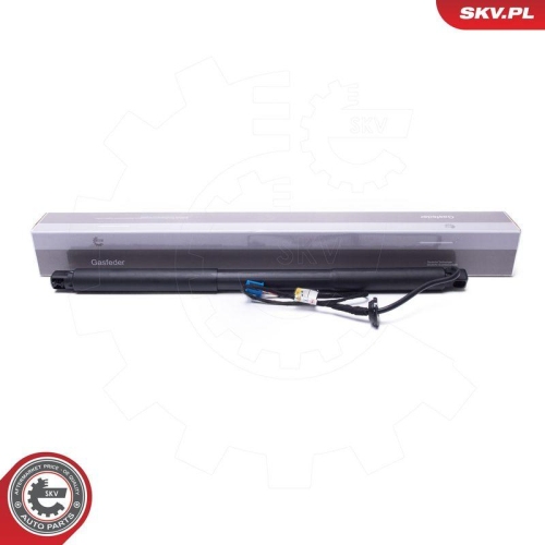 ESEN SKV Elektromotor, Heckklappe 52SKV958