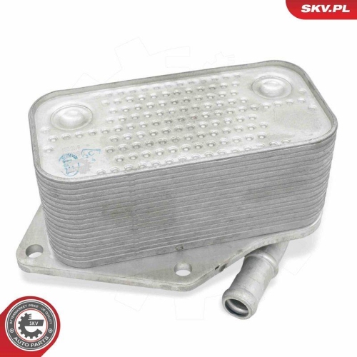 ESEN SKV &Ouml;lk&uuml;hler, Motor&ouml;l 31SKV290
