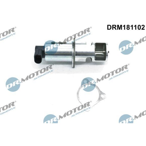 Dr.Motor Automotive AGR-Ventil DRM181102