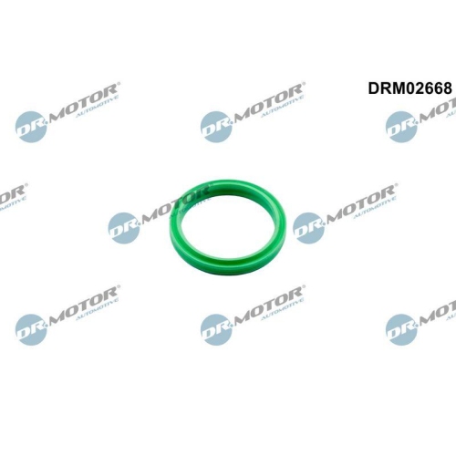 Dr.Motor Automotive Dichtring, Ladeluftschlauch DRM02668