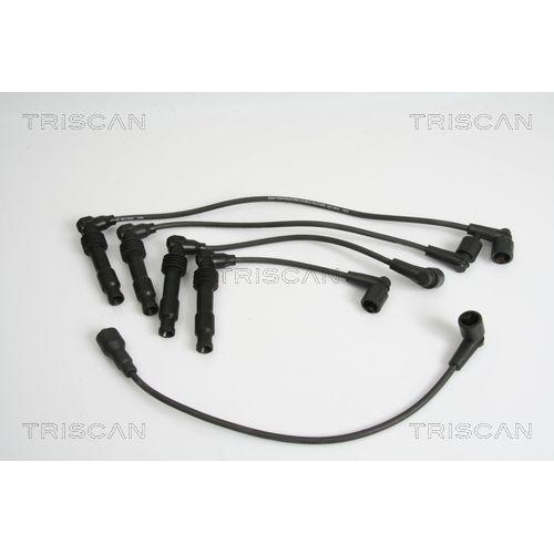 TRISCAN Z&uuml;ndleitungssatz 8860 4156