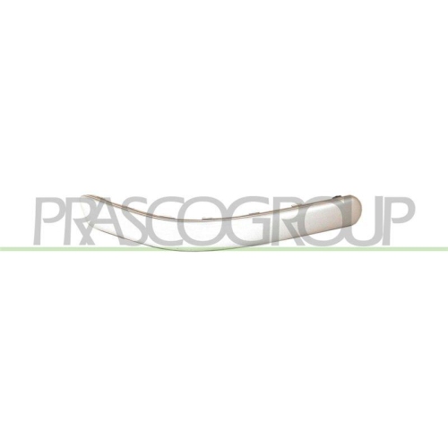 PRASCO Zier-/Schutzleiste, Sto&szlig;f&auml;nger VG0341264