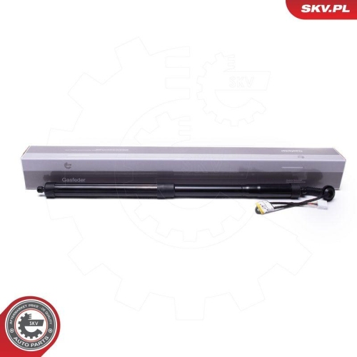 ESEN SKV Elektromotor, Heckklappe 52SKV956