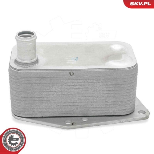 ESEN SKV &Ouml;lk&uuml;hler, Motor&ouml;l 31SKV298