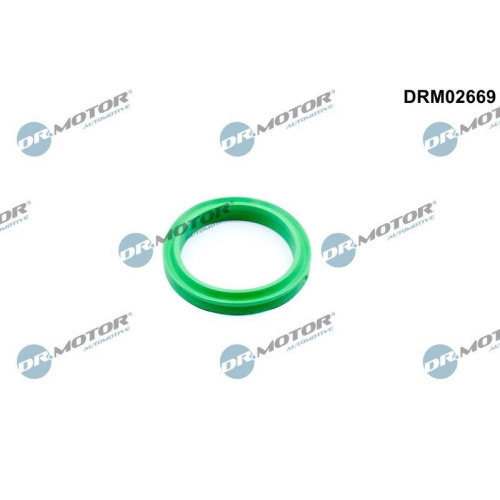 Dr.Motor Automotive Dichtring, Ladeluftschlauch DRM02669
