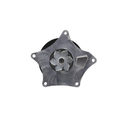 VALEO Wasserpumpe, Motork&uuml;hlung 529697