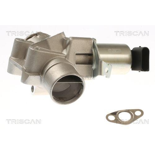 TRISCAN AGR-Ventil 8813 23044