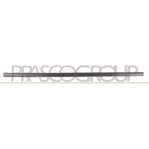 PRASCO Zier-/Schutzleiste, T&uuml;r VG0341403