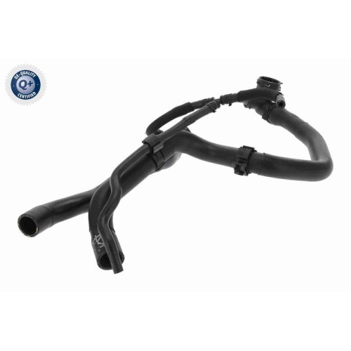 VAICO Kühlerschlauch Q+, Erstausrüsterqualität V10-4884