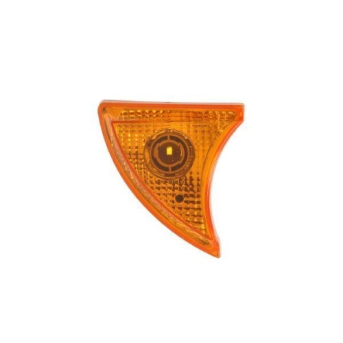 TRUCKLIGHT Blinkleuchte CL-IV004R