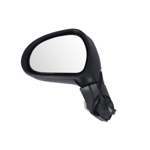 BLIC Au&szlig;enspiegel 5402-04-1131281P