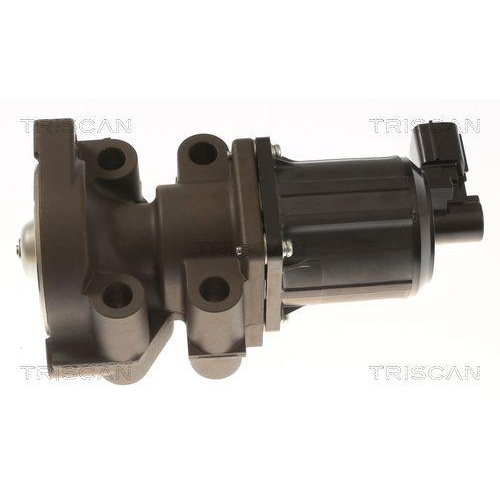 TRISCAN AGR-Ventil 8813 43055