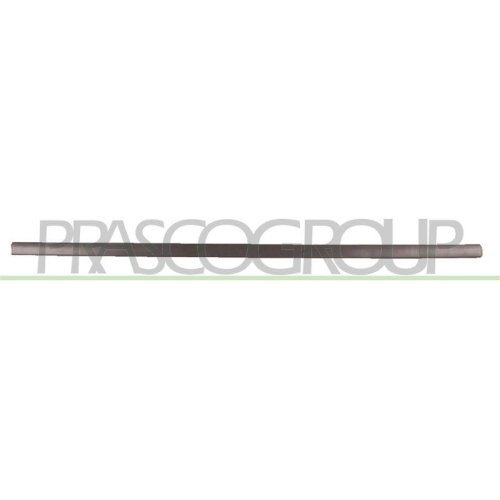 PRASCO Zier-/Schutzleiste, T&uuml;r VG0341404