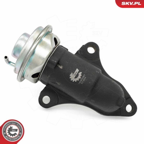 ESEN SKV AGR-Ventil 14SKV263