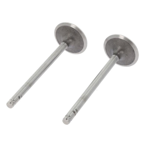 CORTECO Einlassventil 551147B