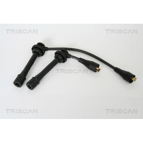 TRISCAN Z&uuml;ndleitungssatz 8860 69004