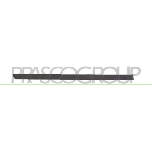 PRASCO Zier-/Schutzleiste, T&uuml;r VG0341453