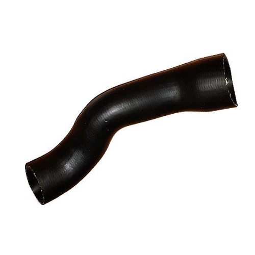 BUGIAD Ladeluftschlauch 88834