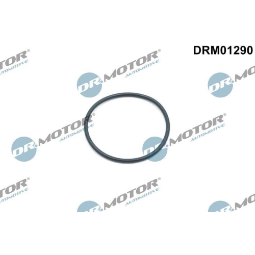 Dr.Motor Automotive Dichtring, Steuerkettenspanner DRM01290