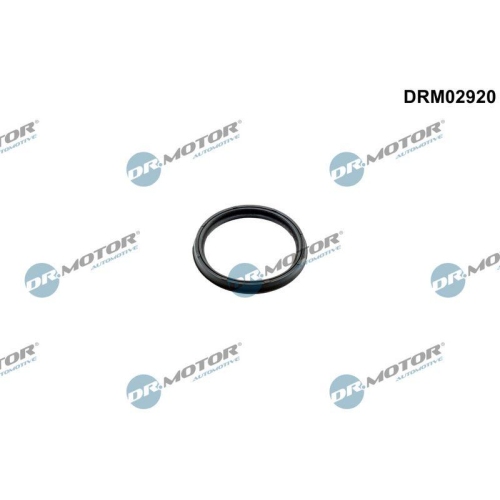 Dr.Motor Automotive Dichtring, Ladeluftschlauch DRM02920