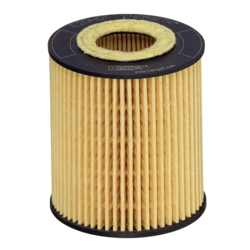 HENGST FILTER &Ouml;lfilter E20H01 D293