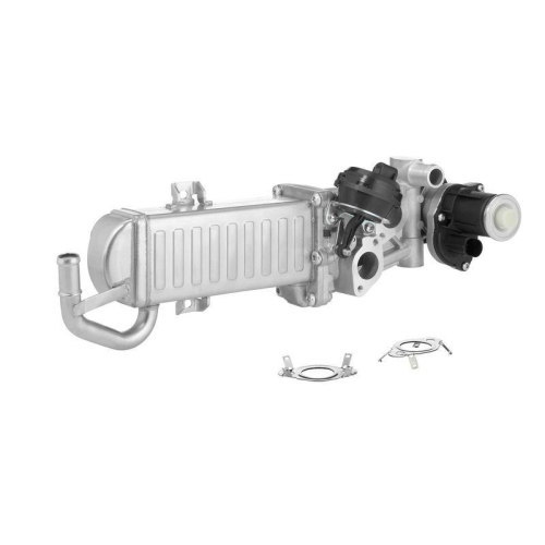 BorgWarner AGR-Modul 710861D/1
