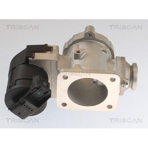 TRISCAN AGR-Ventil 8813 11020