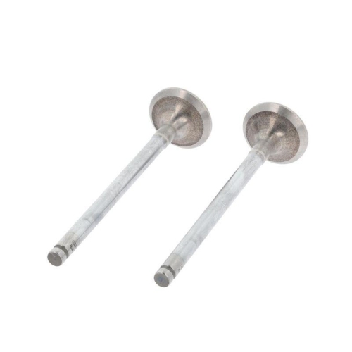 CORTECO Auslassventil 551148B